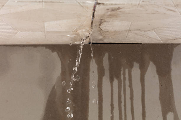 Professional Water Damage Repair technician working in Grove City, FL